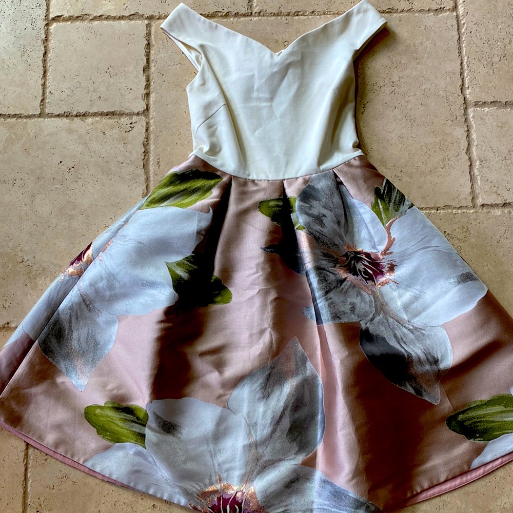 Ted baker chatsworth dress ted baker size 2 us size 6